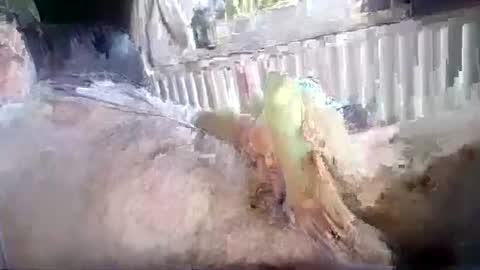 stud_1975 online show from July 18, 12:31 pm