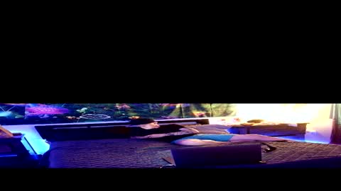 Snapshot of sty57039 chatting on March 2, 4:25 am Stycock88 online show from March 2, 4:25 am