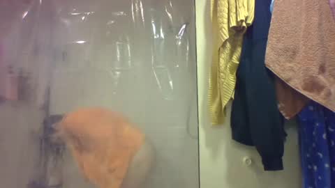 sub4you69brat online show from December 20, 9:33 pm