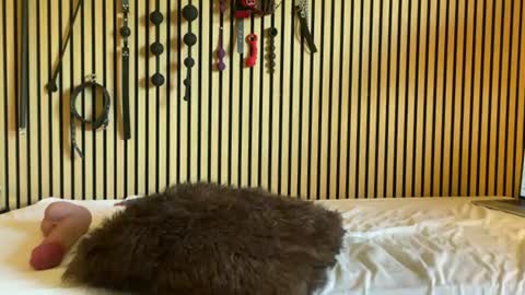 Submissive Slut online show from July 17, 7:37 am