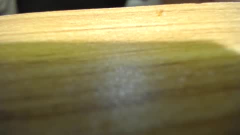 subswitchuser online show from January 15, 6:08 pm