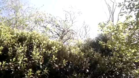 Snapshot of sucrette5629 chatting on April 25, 1:14 pm sucrette5629 online show from April 25, 1:14 pm