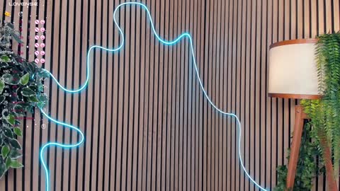 Nelly online show from January 28, 12:57 am