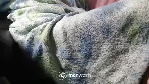 sven online show from November 6, 7:04 pm