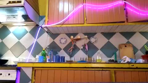 super jony and Marta GMT 1300-1800 every day online show from November 13, 3:55 pm