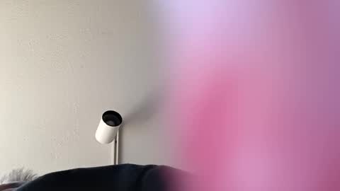 SuperhorndupGangsta online show from January 27, 5:04 pm