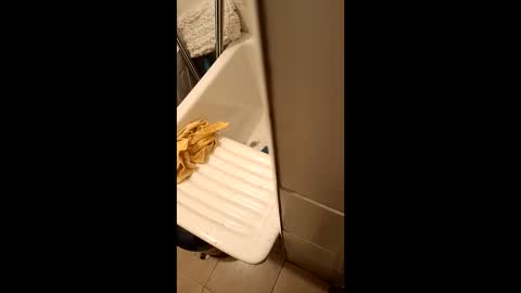 suso9092 online show from March 23, 11:42 pm