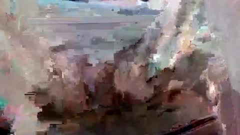 Snapshot of suttond4858 chatting on September 12, 7:03 pm suttond4858 online show from September 12, 7:03 pm