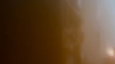 tylorgerman online show from January 18, 12:14 am