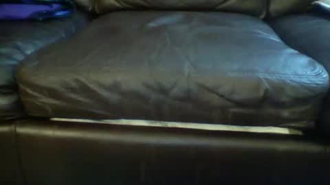 Snapshot of suv1 chatting on March 3, 9:26 am Otto online show from March 3, 9:26 am