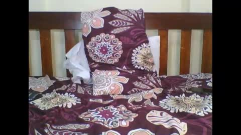 bella online show from September 18, 7:10 am