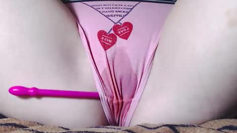 Kitten online show from December 13, 11:45 am