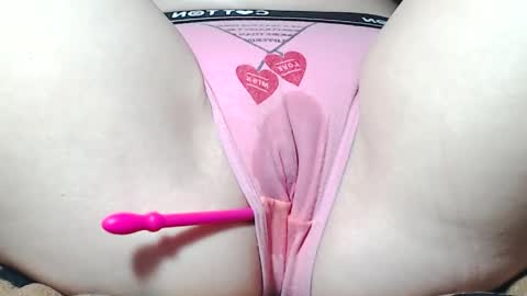 Kitten online show from May 8, 8:52 am
