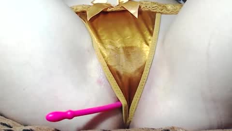 Kitten online show from May 16, 7:27 am