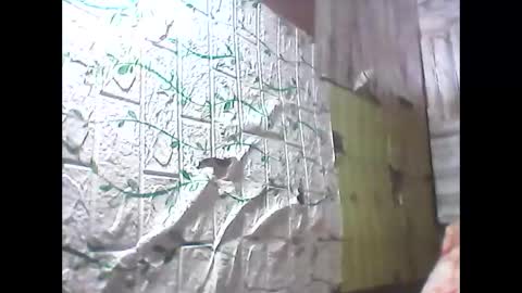 sweetava08 online show from May 19, 12:27 am