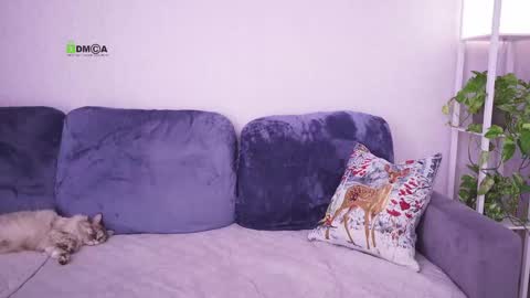 Vicktorious online show from February 24, 8:17 am