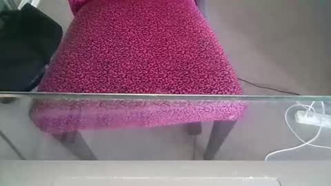 sweetiepuppy421 online show from March 2, 7:15 am