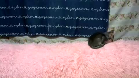 sweetnipples1987 online show from June 14, 7:49 pm