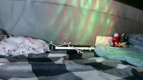 Snapshot of sweetnissapril chatting on January 12, 9:03 am April online show from January 12, 9:03 am