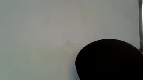 LILY BRANDY online show from May 2, 7:02 am