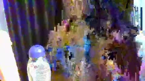 sweet online show from December 17, 10:21 am