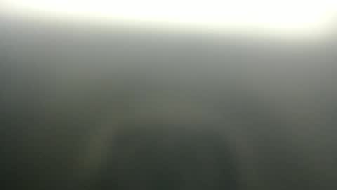 slim ivy online show from April 3, 3:59 am