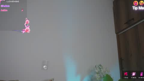 Hello Welcome Im here from WEDNESDAY to SUNDAY 430am to  830am and 3  to 7  timeMONDAY and TUESDAY i rest online show from March 5, 9:44 pm