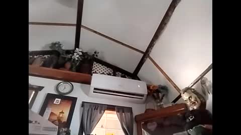 Snapshot of sweetsugar64 chatting on February 3, 4:23 pm sweetsugar64 online show from February 3, 4:23 pm