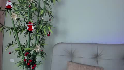    online show from December 29, 10:36 pm