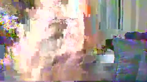 Snapshot of sweetvixen_ chatting on December 11, 2:30 am Cute vixen online show from December 11, 2:30 am