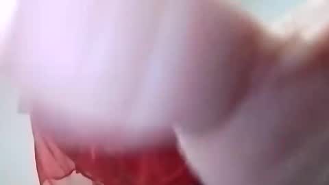 sweetwendi15 online show from February 8, 2:04 am