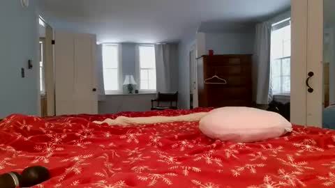 ashley blayde online show from February 6, 8:45 pm