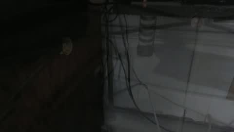 Snapshot of sxulx2c chatting on December 14, 6:24 am sxulx2c online show from December 14, 6:24 am