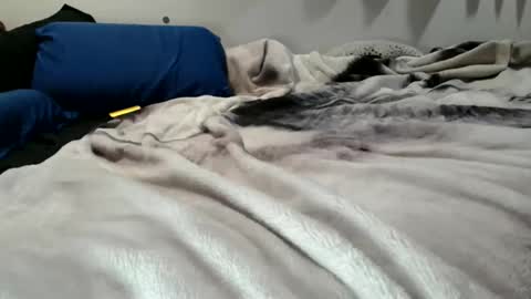 Snapshot of sybadog chatting on February 19, 11:50 am sybadog online show from February 19, 11:50 am