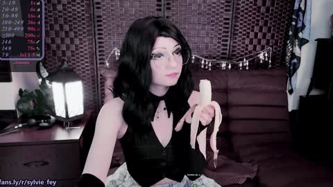 Sylvie online show from January 27, 2:53 am