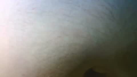 syrius57920 online show from November 7, 5:13 pm