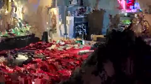 tailorfitted online show from October 16, 10:38 am