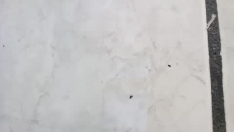 tall6feet7inch online show from September 14, 11:42 am