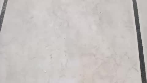 tall6feet7inch online show from September 21, 8:16 am