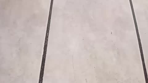 tall6feet7inch online show from September 24, 10:29 am