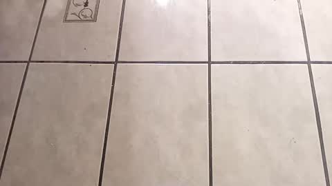 tall6feet7inch online show from October 1, 9:04 am