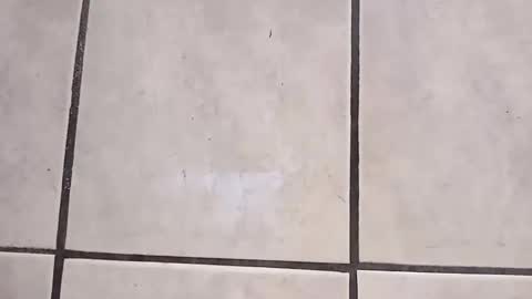 tall6feet7inch online show from October 2, 9:27 am