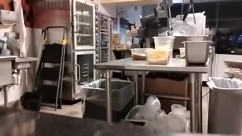 The Man of Steel online show from September 10, 2:44 am