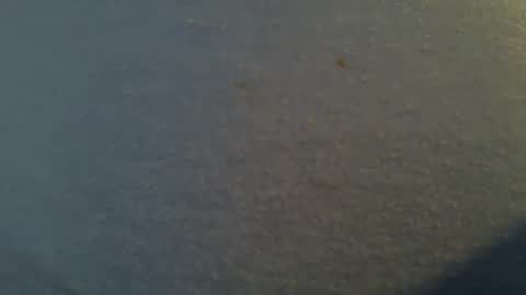 tallwxguy online show from May 22, 6:13 pm