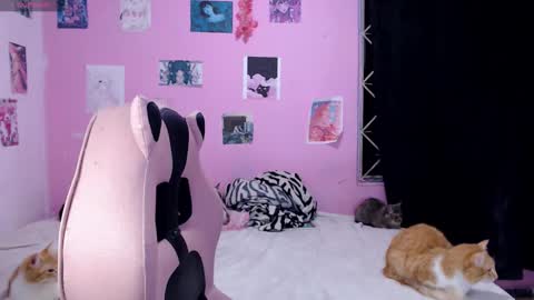 Snapshot of tamako_kitty__ chatting on December 14, 6:02 am Alejandra Independent model online show from December 14, 6:02 am