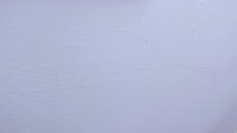 Tamara online show from February 9, 9:47 am