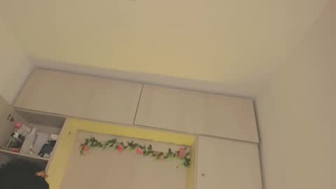  T A R A  online show from December 5, 4:21 am