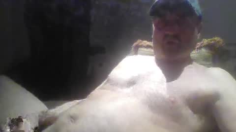 tarzeny77 online show from June 4, 4:29 am