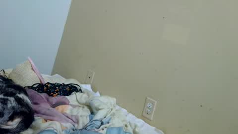 tastycakes96 online show from June 28, 4:29 am