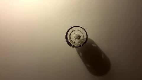 tastytexas24 online show from April 4, 11:02 pm